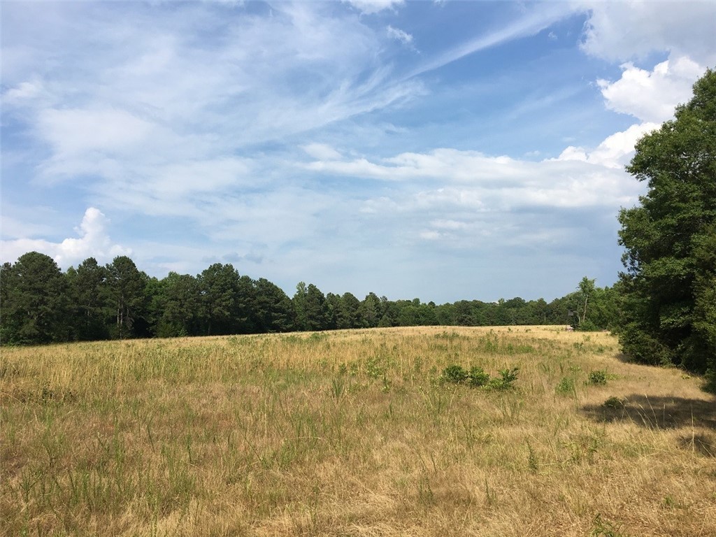 891 Mitchell Place Road Wetumpka, SC 36093 - Photo 1 of 19