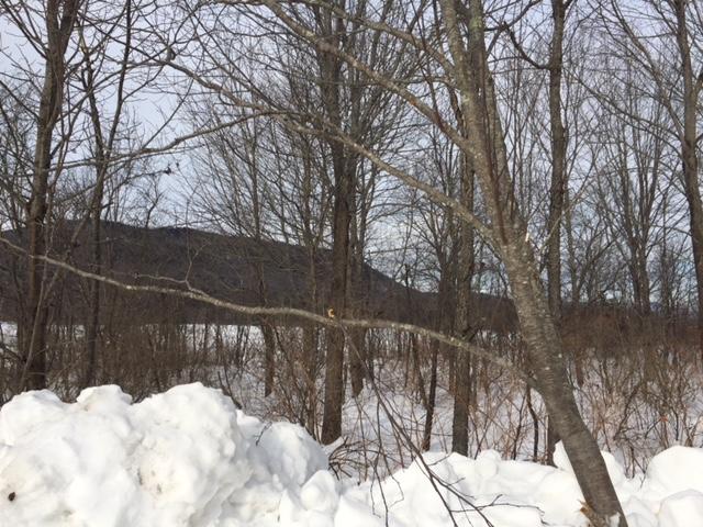 0 Gilman Pond Road New Portland, ME 04961 - Photo 3 of 3 Gilman land #3