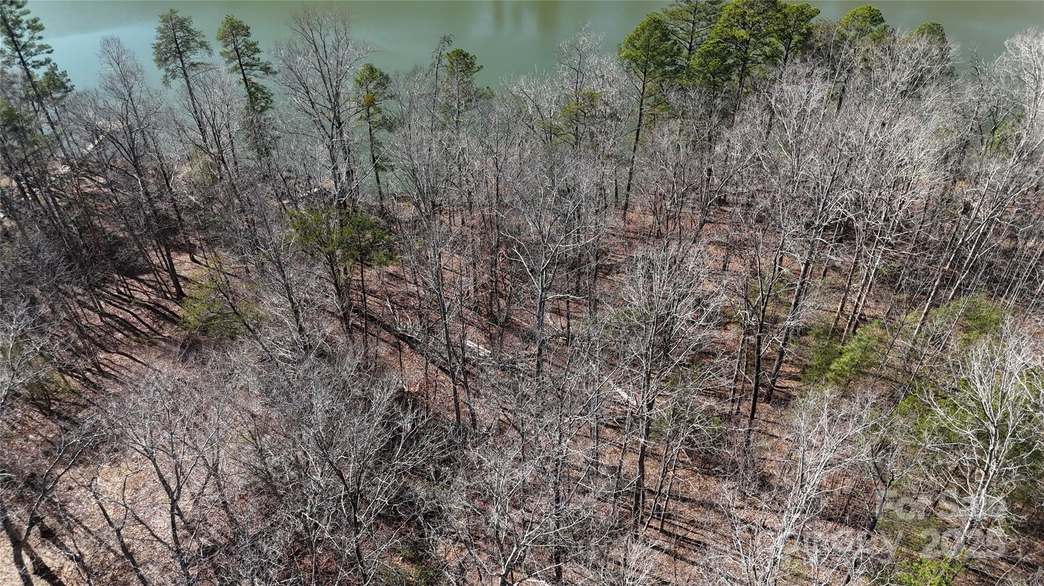 0 Parkway North Rd Mill Spring, Unit LOT 7 Mill Spring, NC 28756 - Photo 6 of 6
