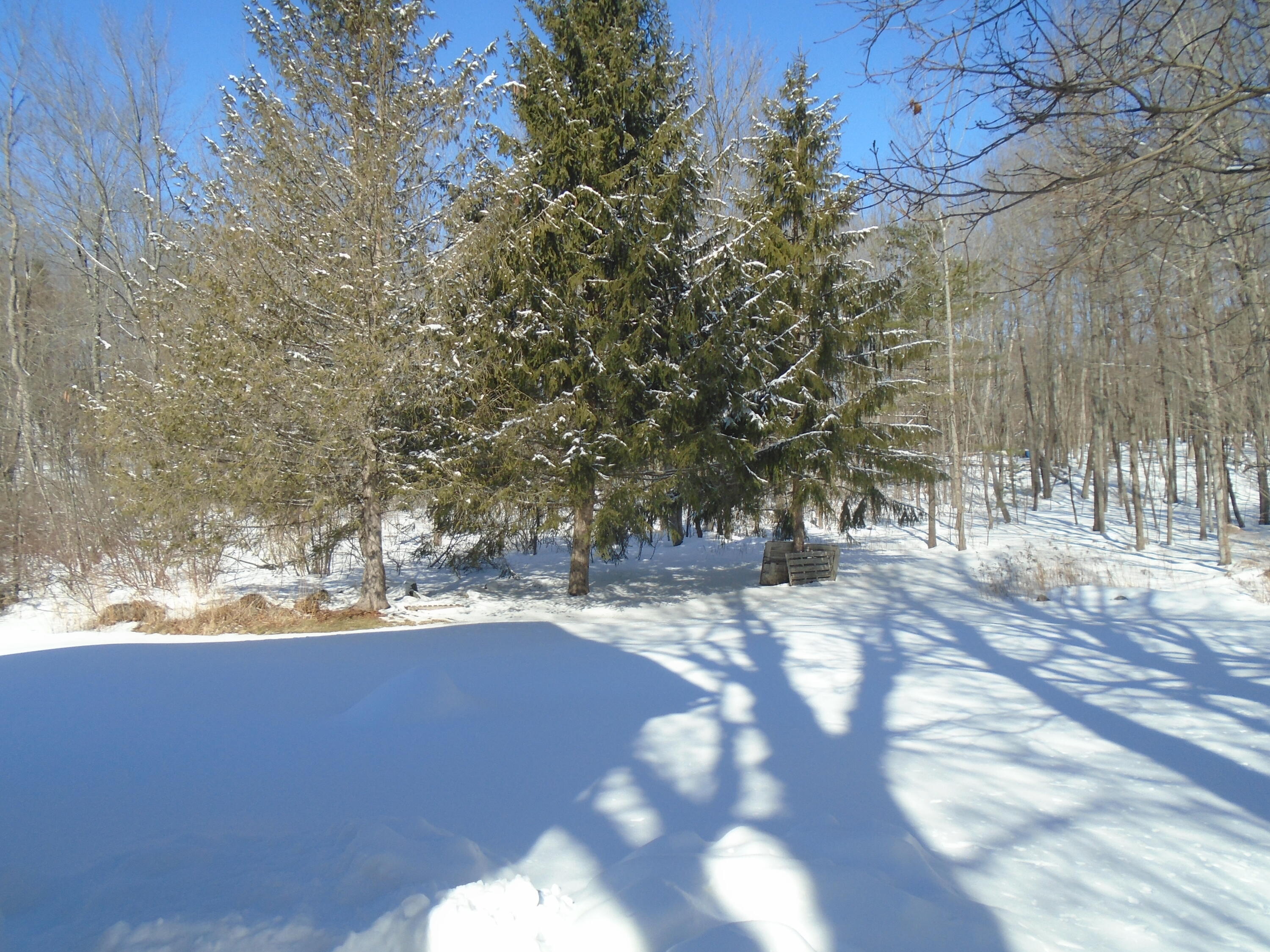 35 Belgrade Road Oakland, ME 04963 - Photo 34 of 39 Back Yard