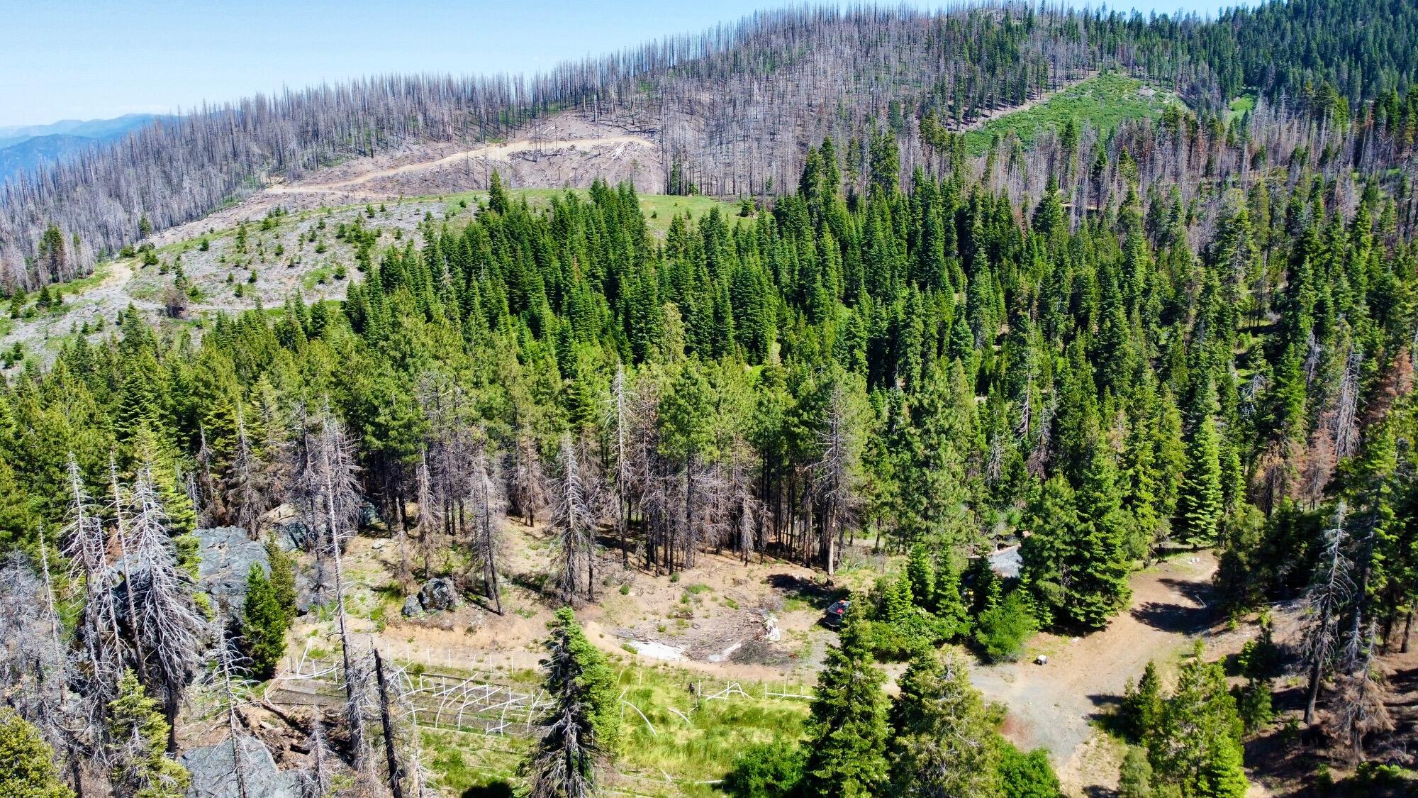 40-acres 40-acres Ammon Ridge Road Willow Creek, CA 95573 - Photo 25 of 28