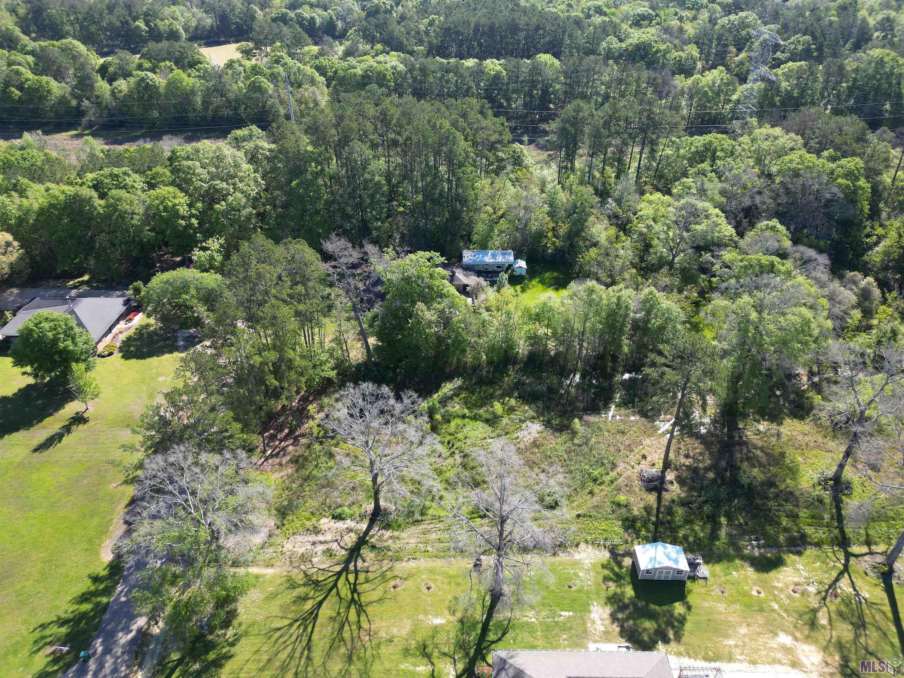 11354 Maxwell Drive Walker, LA 70785 - Photo 3 of 7