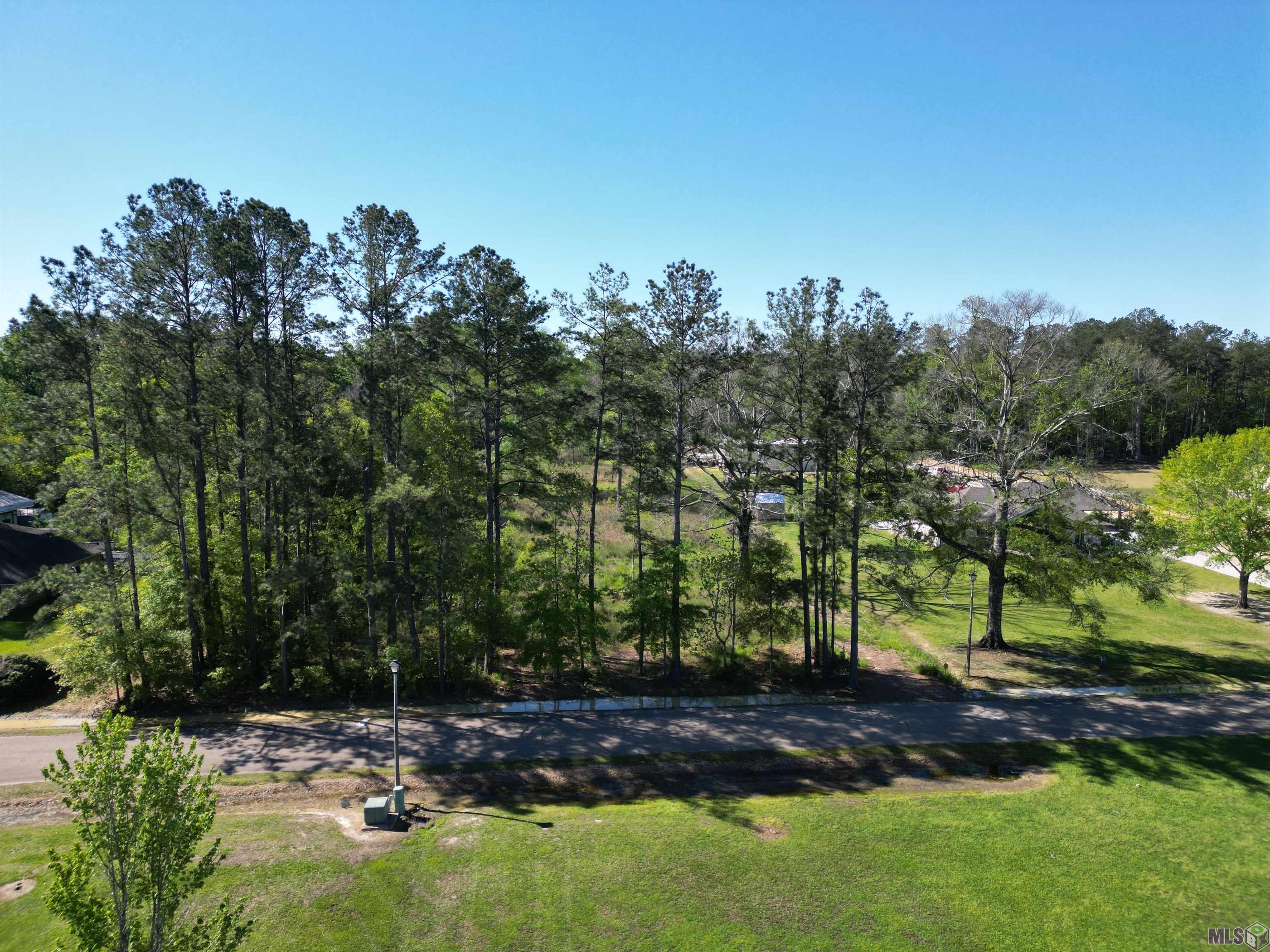 11354 Maxwell Drive Walker, LA 70785 - Photo 6 of 7