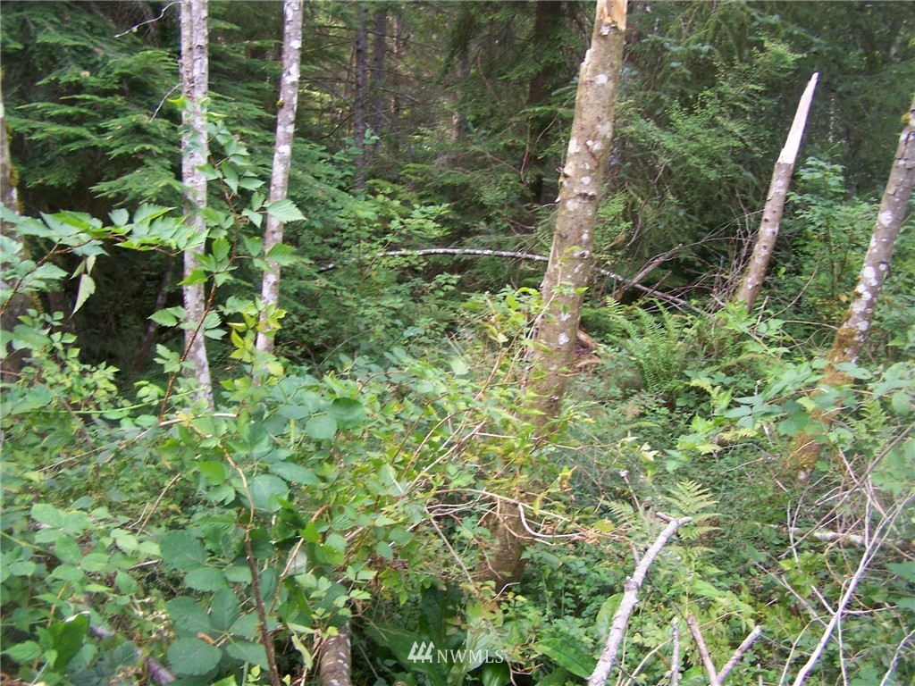 0 Springwater Lane Clinton, WA 98236 - Photo 2 of 7 Gallery Image 2