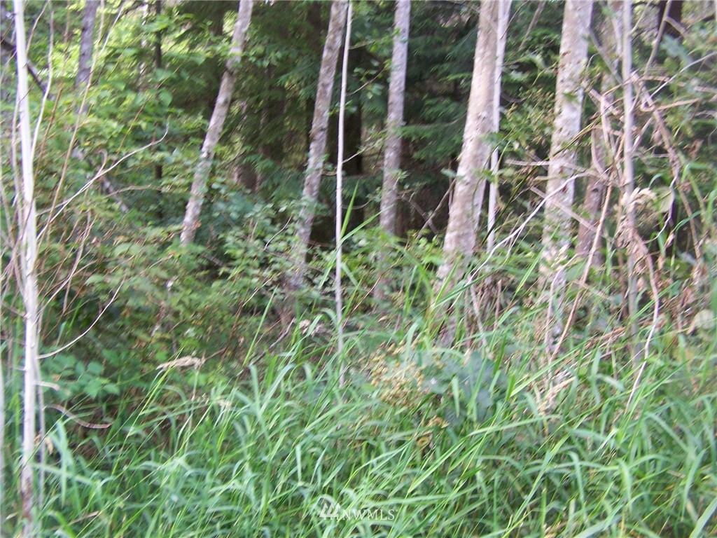 0 Springwater Lane Clinton, WA 98236 - Photo 3 of 7 Gallery Image 3