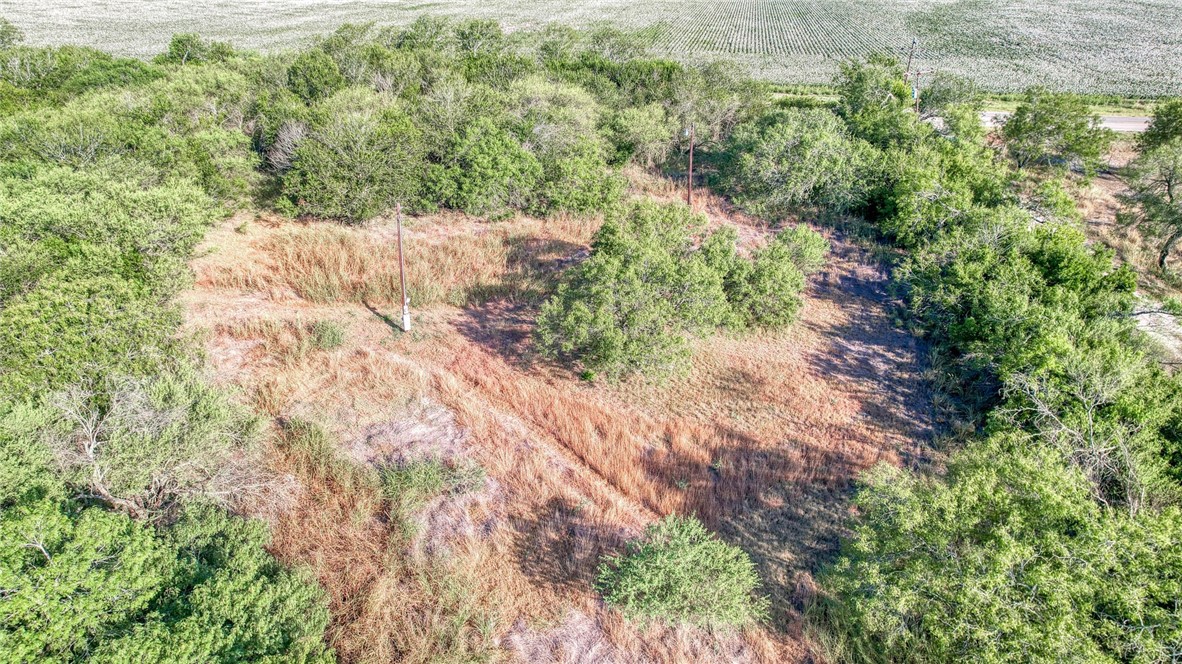 0 Fm Road Robstown, TX 78380 - Photo 11 of 19