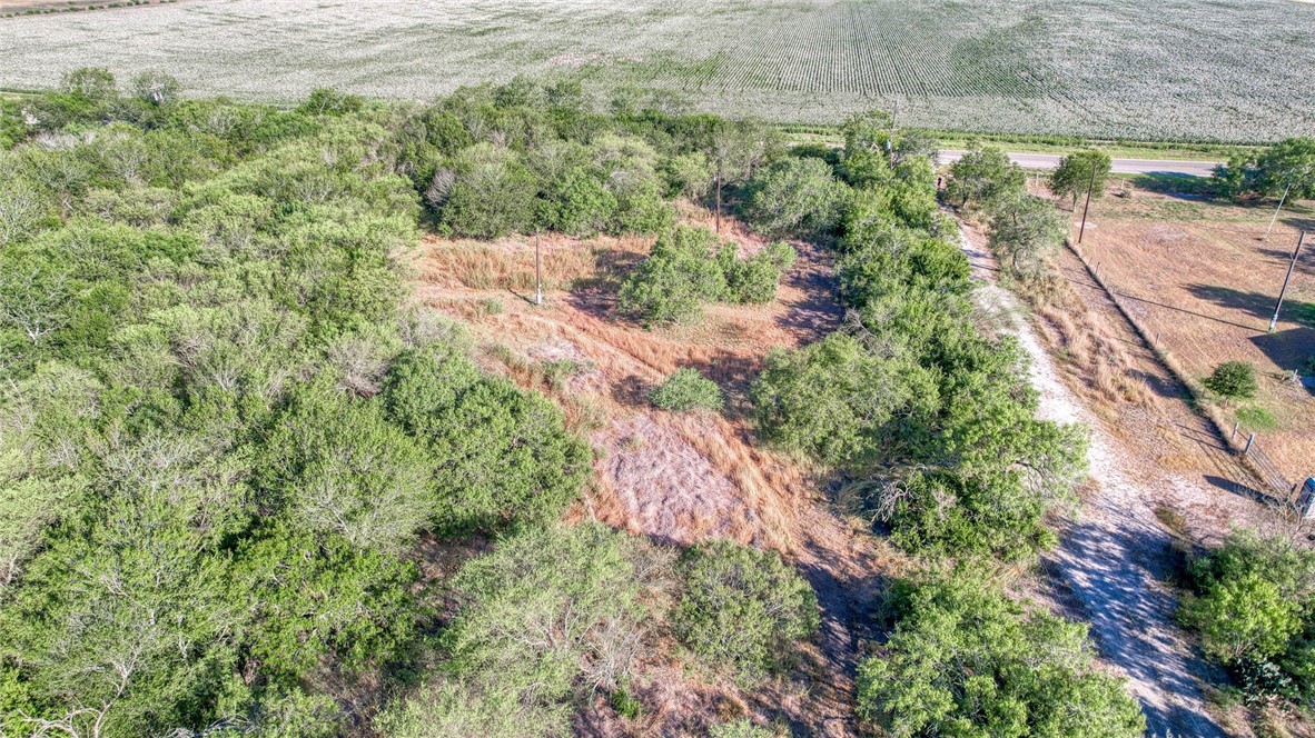 0 Fm Road Robstown, TX 78380 - Photo 12 of 19 a view of a yard with plants and large trees