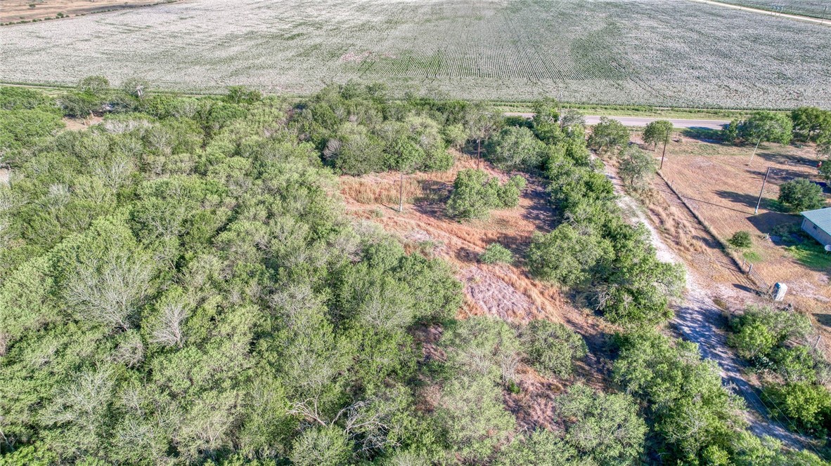 0 Fm Road Robstown, TX 78380 - Photo 13 of 19 a view of a yard with an outdoor space