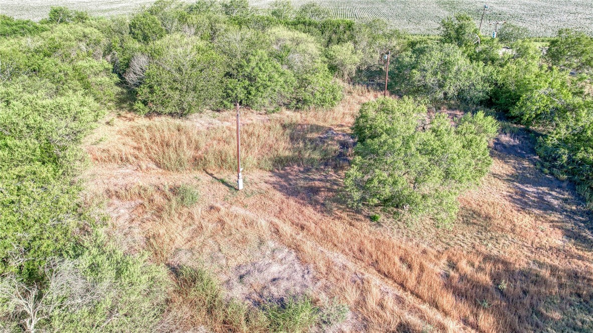 0 Fm Road Robstown, TX 78380 - Photo 14 of 19 a view of a yard with a tree