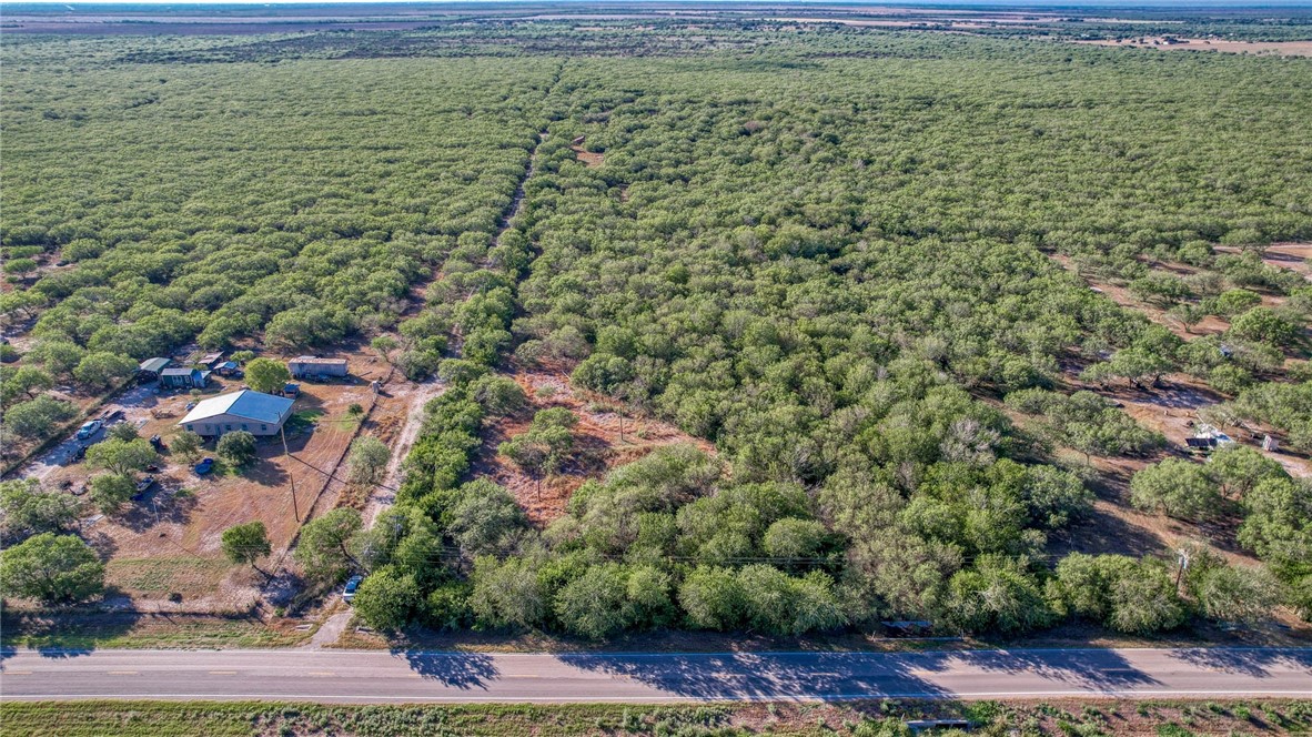 0 Fm Road Robstown, TX 78380 - Photo 17 of 19 a view of a yard with an outdoor space
