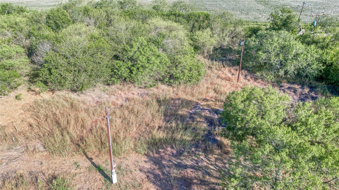 0 Fm Road Robstown, TX 78380 - Photo 3 of 19 a view of a yard with plants and a small yard