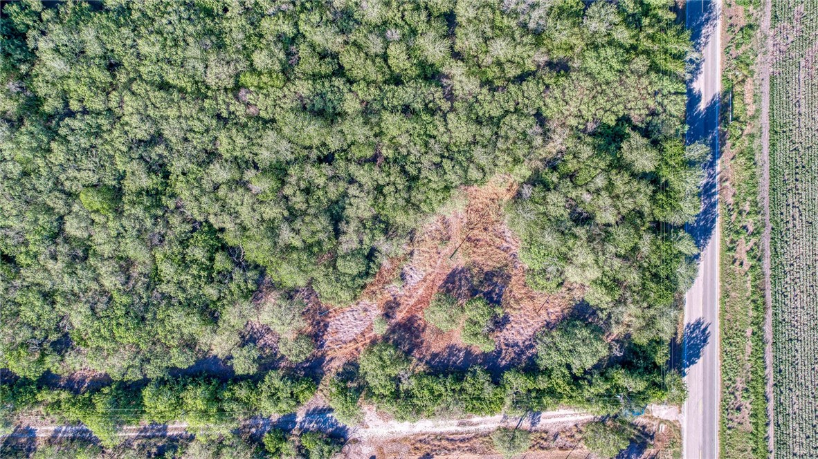 0 Fm Road Robstown, TX 78380 - Photo 4 of 19 a view of a garden with plants and flowers