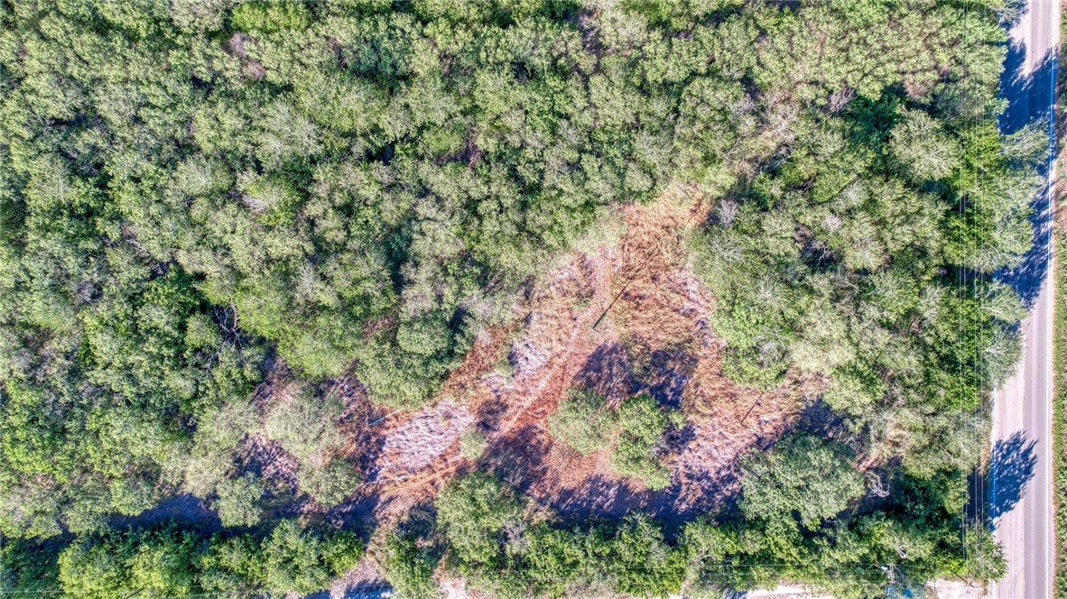 0 Fm Road Robstown, TX 78380 - Photo 6 of 19 a view of a garden with plants