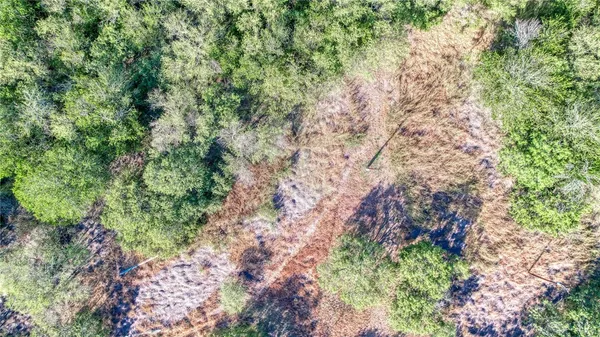 a backyard of a house with lots of trees