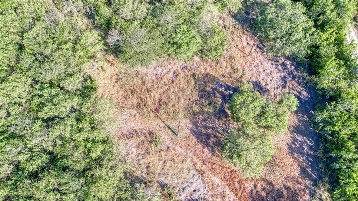 0 Fm Road Robstown, TX 78380 - Photo 8 of 19 a backyard of a house with lots of trees