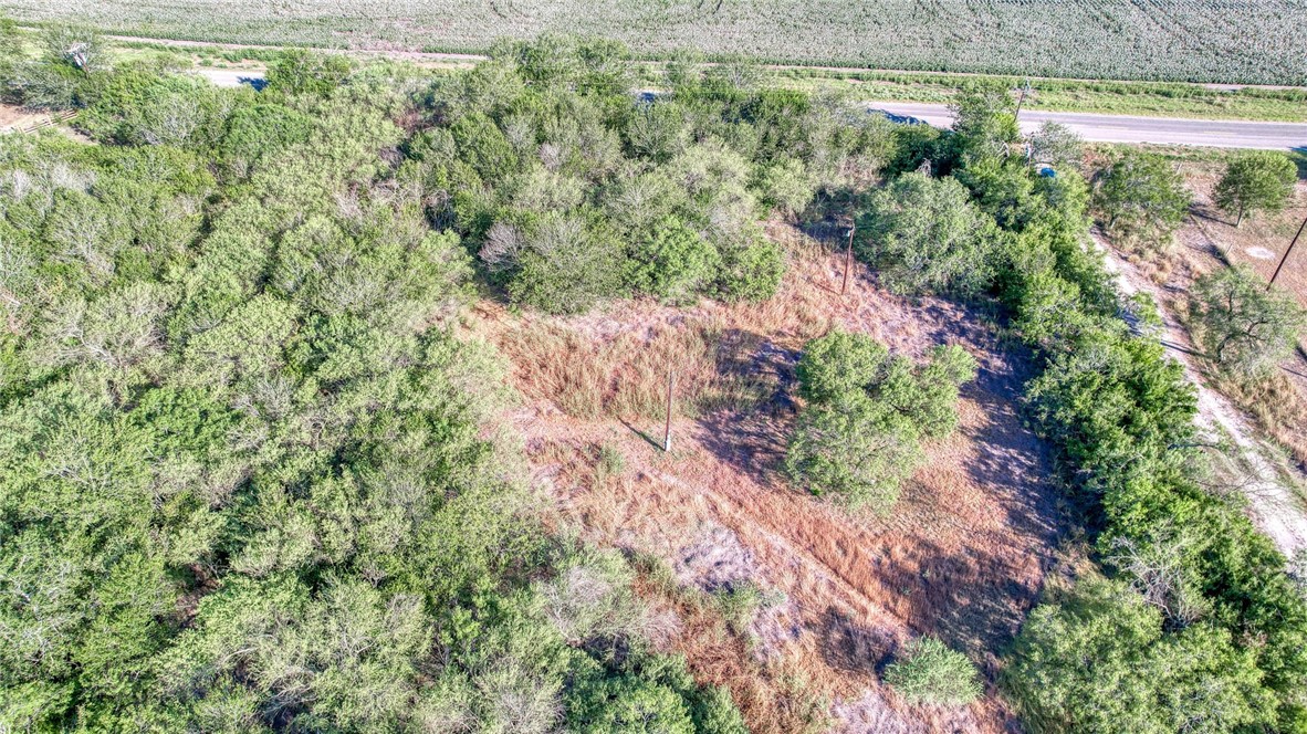 0 Fm Road Robstown, TX 78380 - Photo 9 of 19 a view of a garden with a building