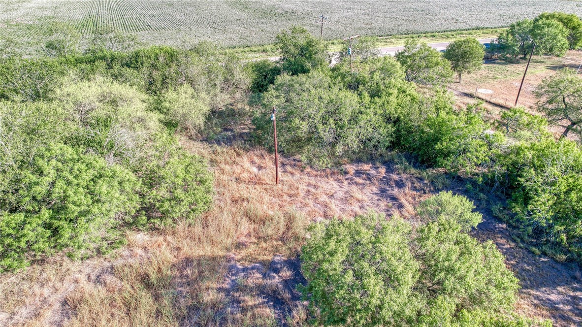 0 Fm Road Robstown, TX 78380 - Photo 10 of 19 a view of a garden with a tree