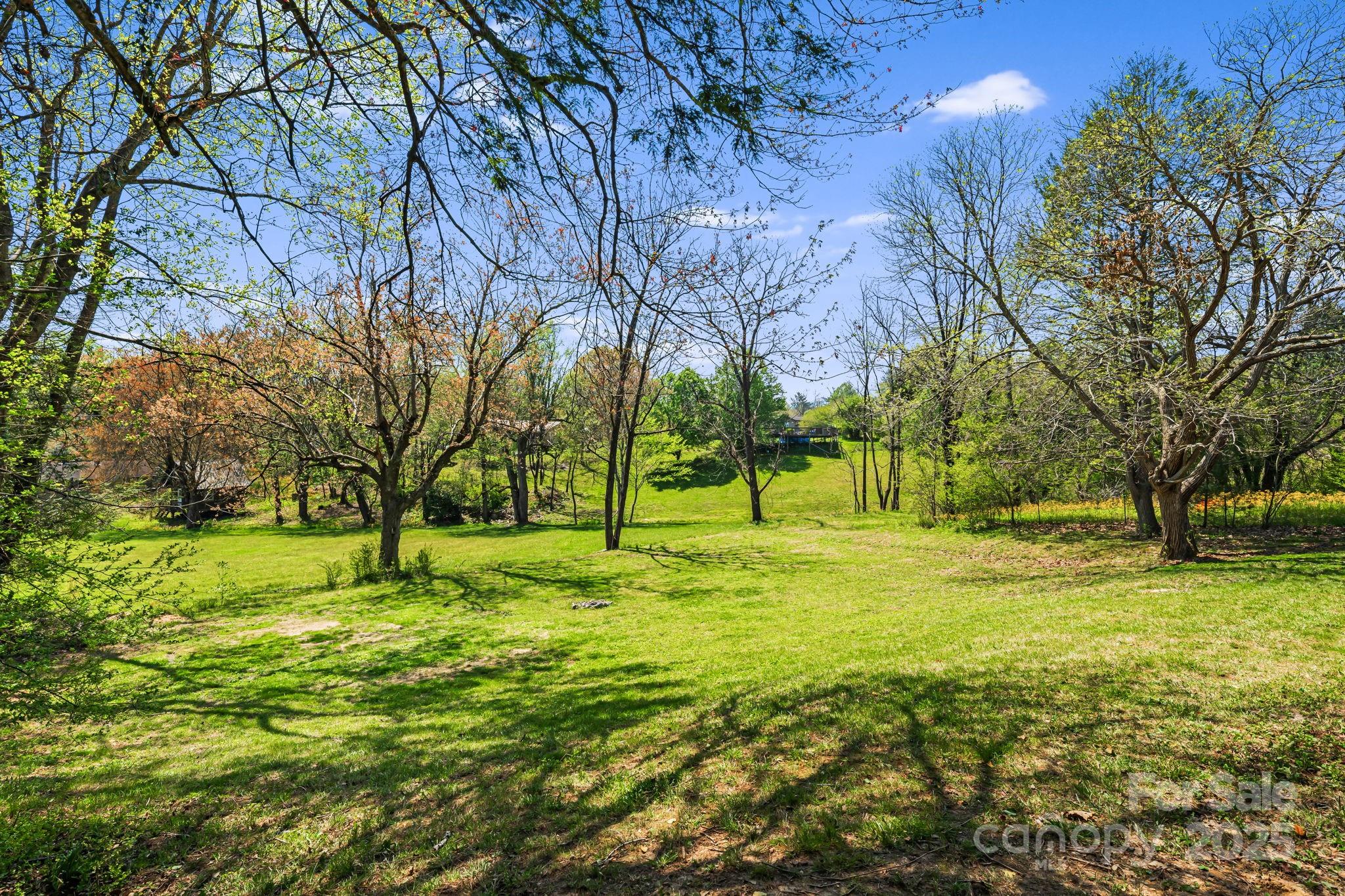 56 Pressley Avenue Brevard, NC 28712 - Photo 31 of 31