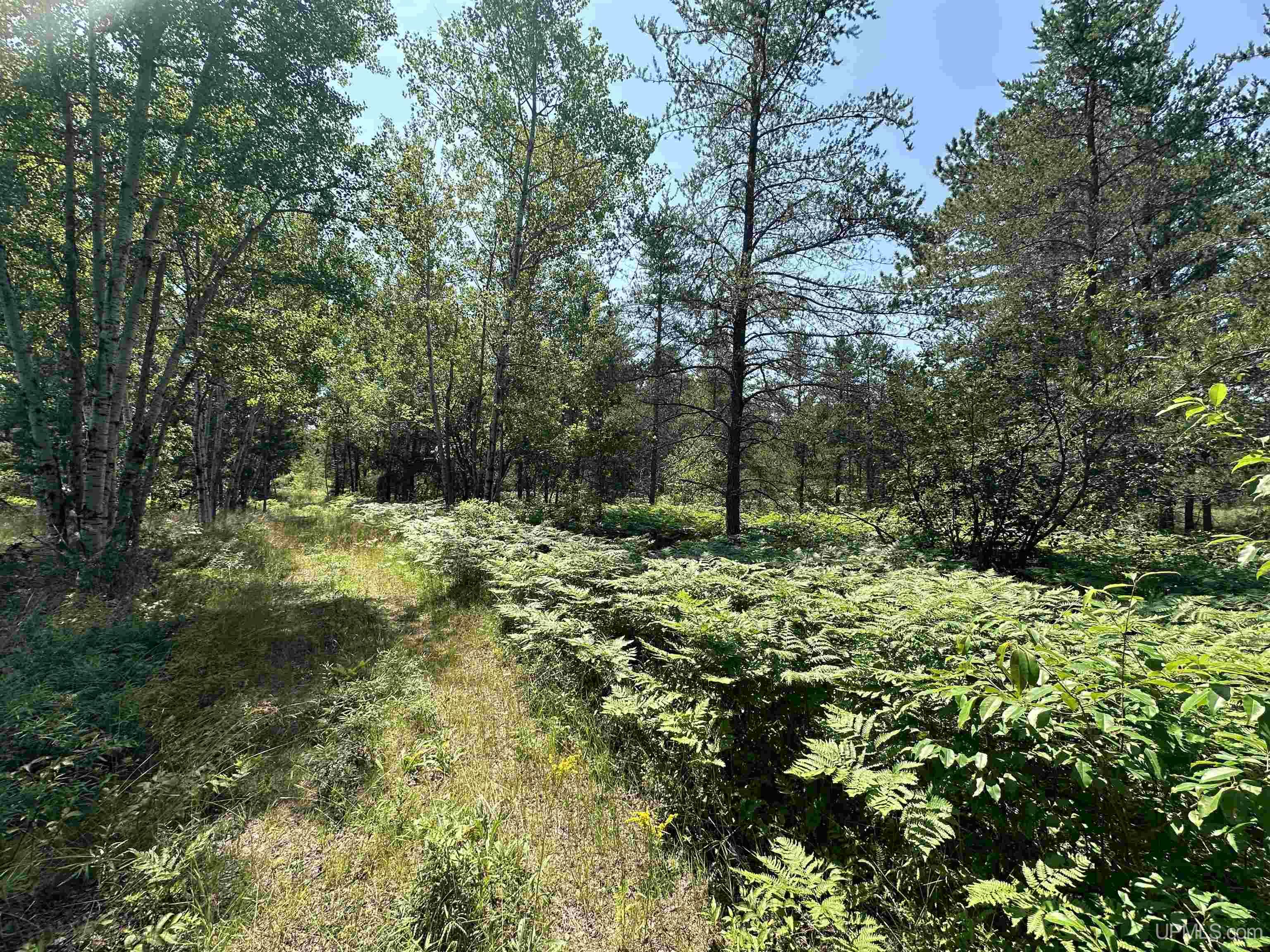 2020-2050 Co Road Little Lake, MI 49833 - Photo 9 of 39