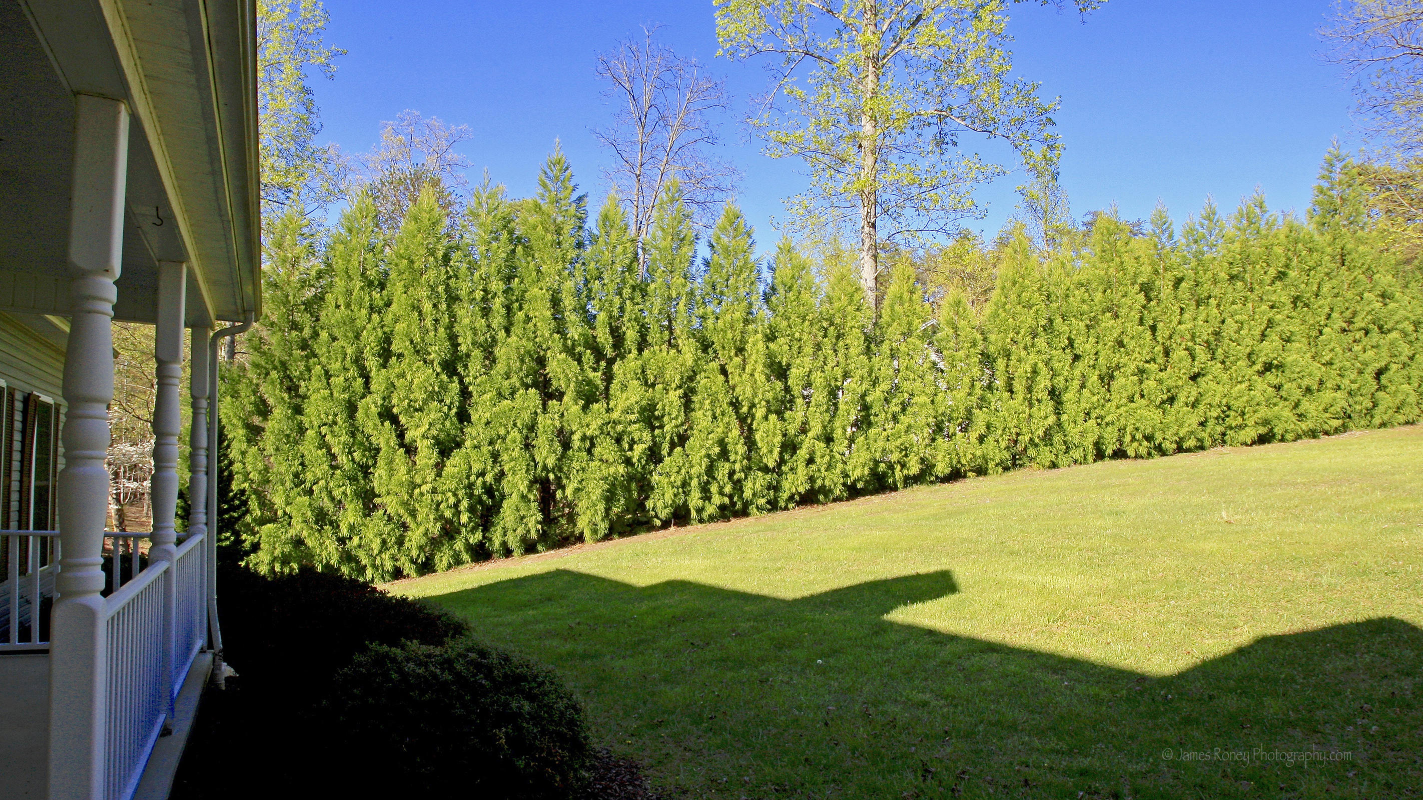 260 Fingerlake Road Penhook, VA 24137 - Photo 110 of 139 _V4B5485