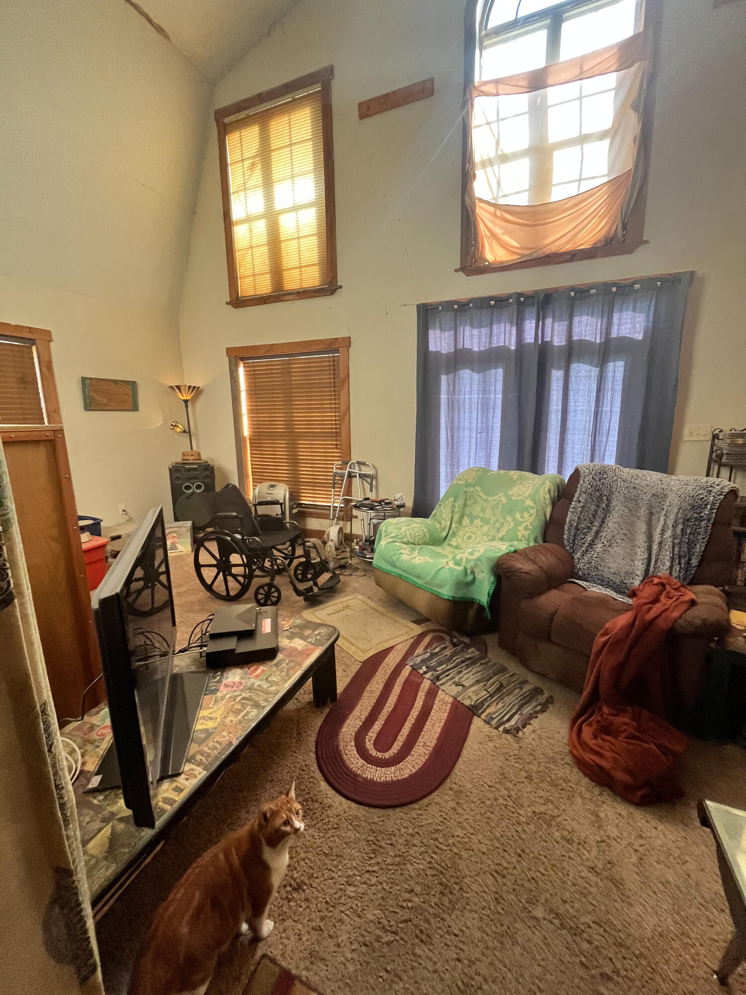 1883 Ogden Ridge Road Mount Olivet, KY 41064 - Photo 12 of 19 Living Room