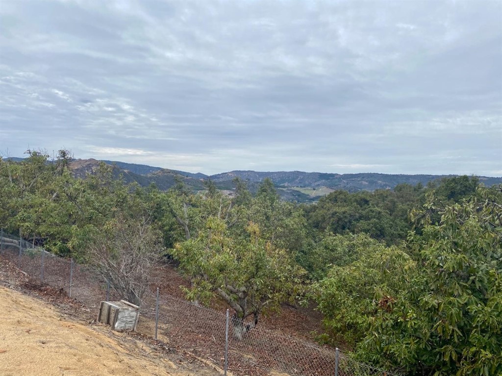 0 Monte Rancho Drive Temecula, CA 92590 - Photo 1 of 3 a view of a city with lush green forest