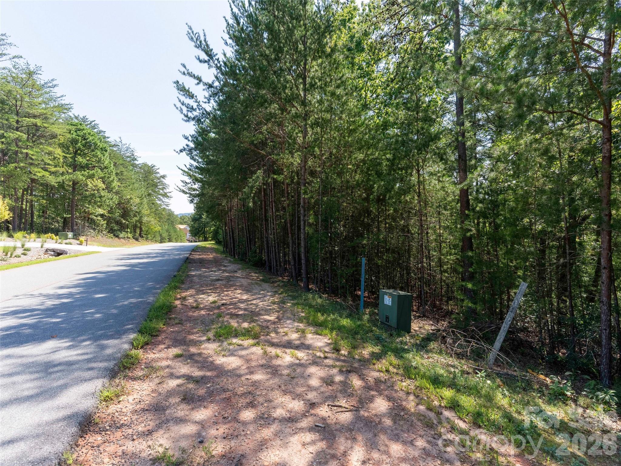 Lot 2006 Deep Gap Farm Rd Mill Spring West Mill Spring, NC 28756 - Photo 3 of 21 Gallery Image 3