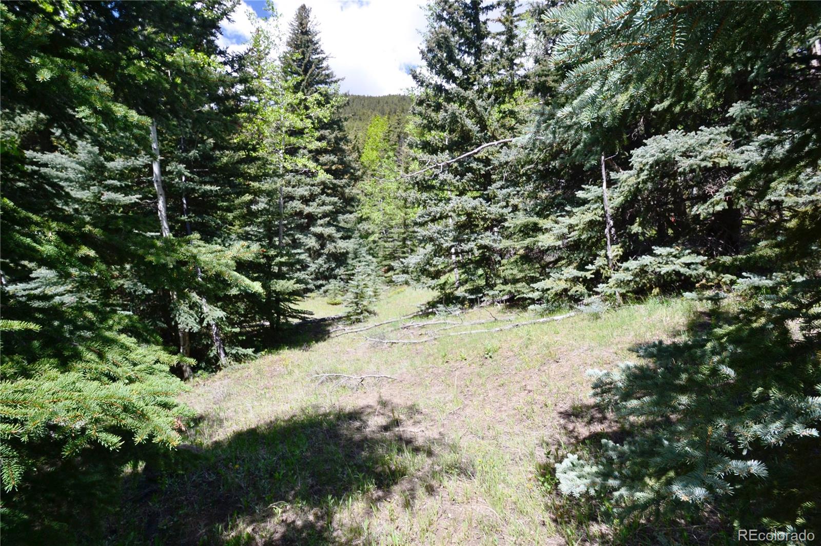14 Witter Gulch Road Evergreen, CO 80439 - Photo 3 of 15 Gallery Image 3