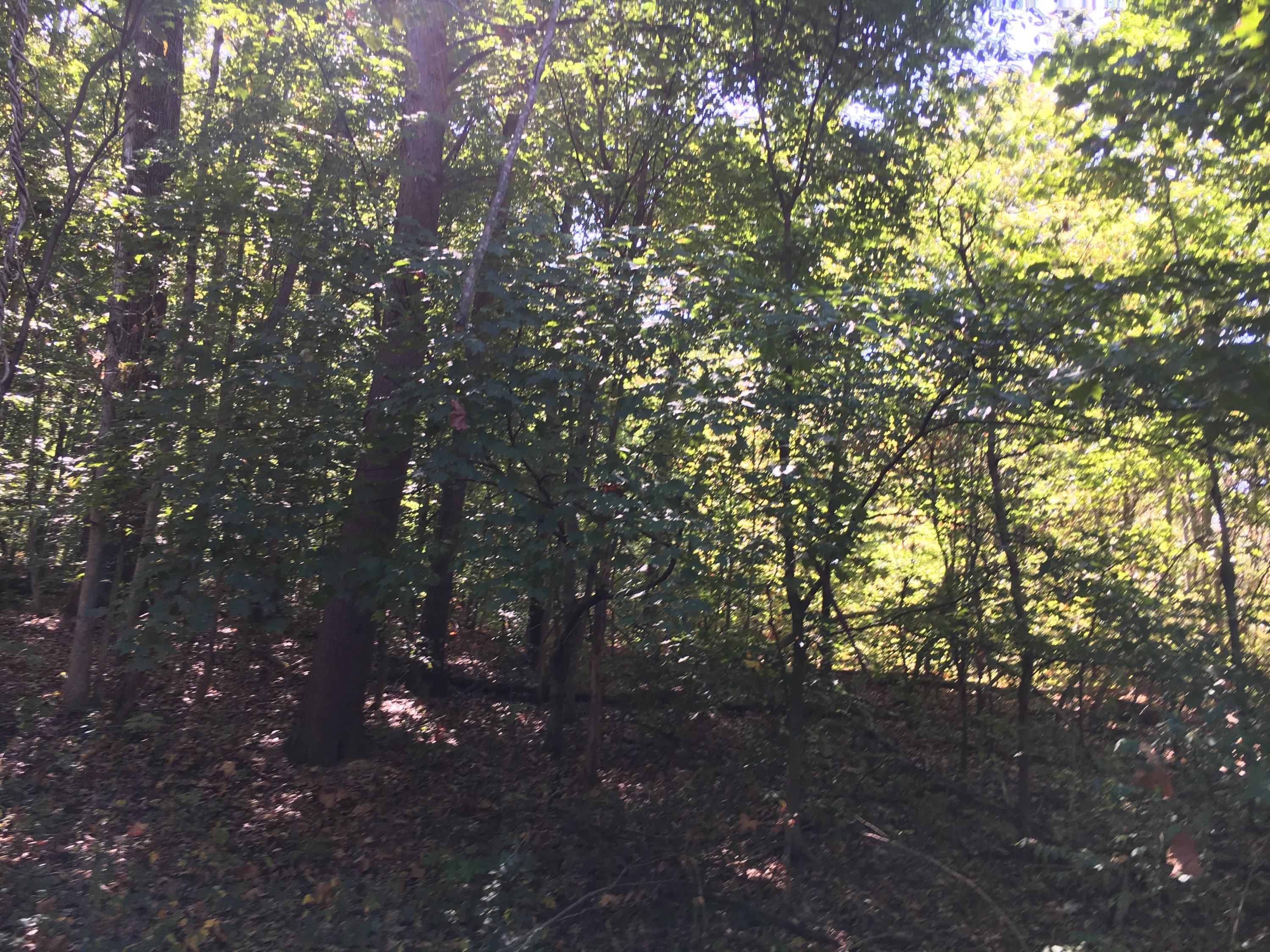0 Shields Ferry Road Morristown, TN 37813 - Photo 14 of 27 7