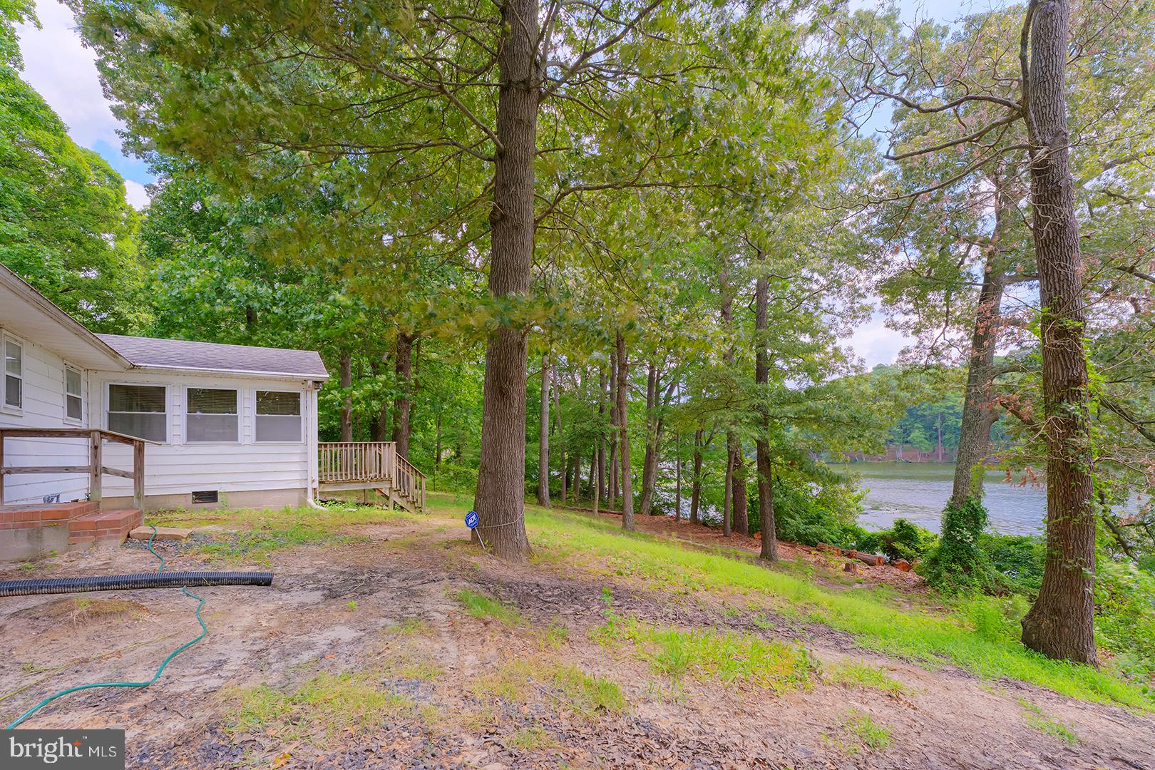 1211 Flamingo Road Salisbury, MD 21801 - Photo 42 of 63 Serene lakeside retreat in nature.