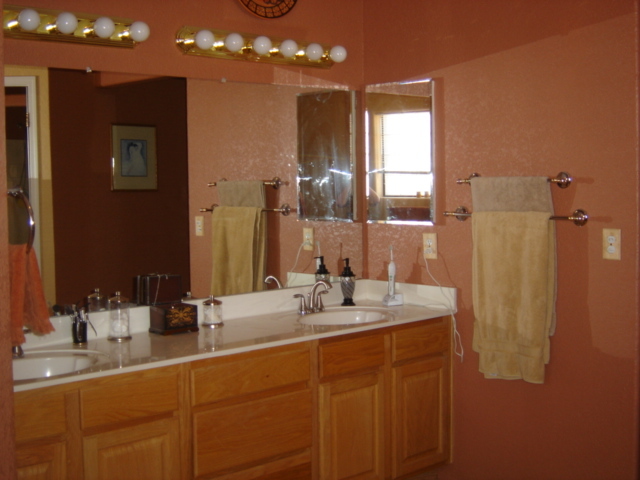4380 North Colt Road Apache Junction, AZ 85119 - Photo 5 of 10 Master Bathroom 1