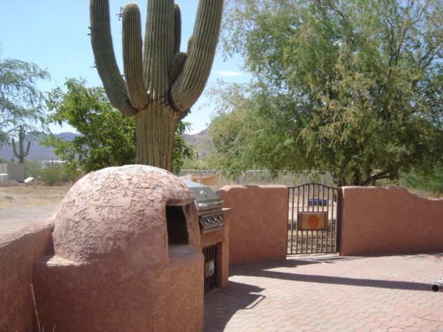 4380 North Colt Road Apache Junction, AZ 85119 - Photo 7 of 10 Backyard