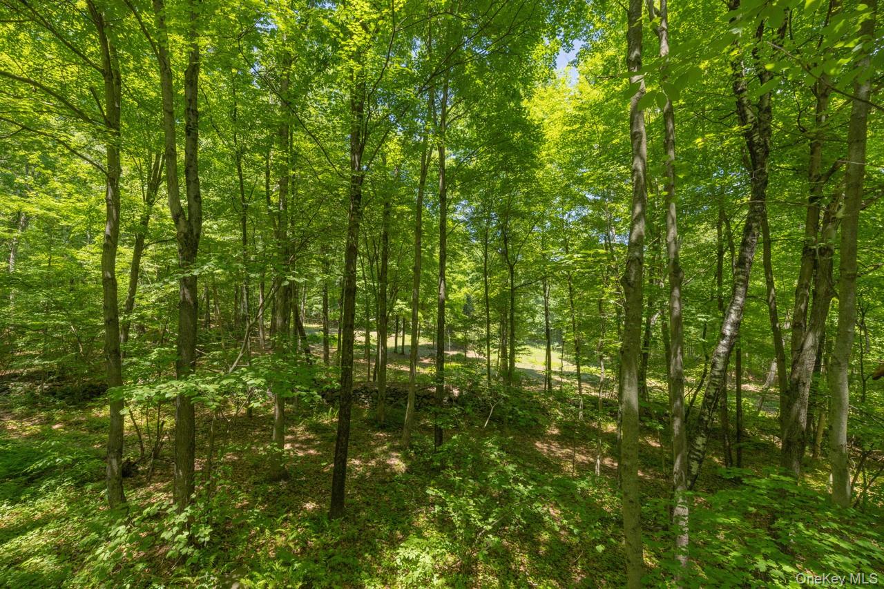 355 Fosler Road Wallkill, NY 12589 - Photo 29 of 49