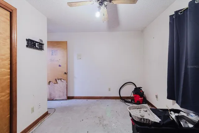 a view of a yard with plants and a large tree