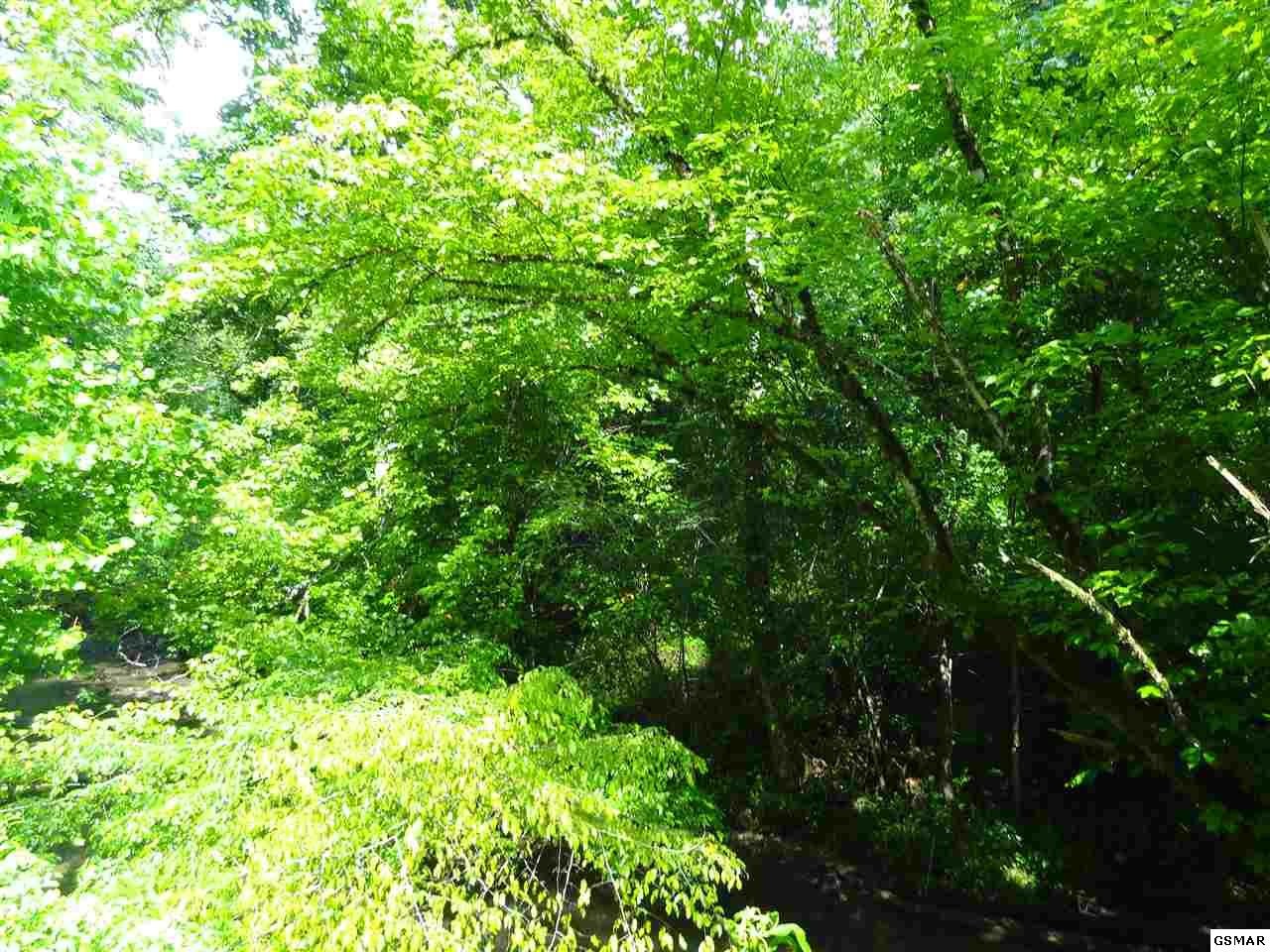0 Dunn Creek Road Cosby, TN 37722 - Photo 2 of 3