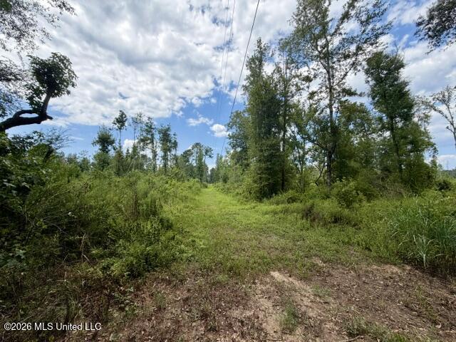 71 Fulgham Road Tylertown, MS 39667 - Photo 8 of 15 IMG_1474