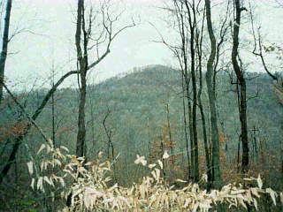 0 Tracy Run Road Stout, OH 45684 - Photo 1 of 1 Gallery Image 1