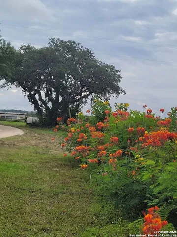 a view of a houses with a yard