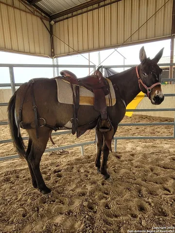 a view of a air conditioner
