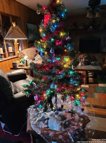 a view of a mountain