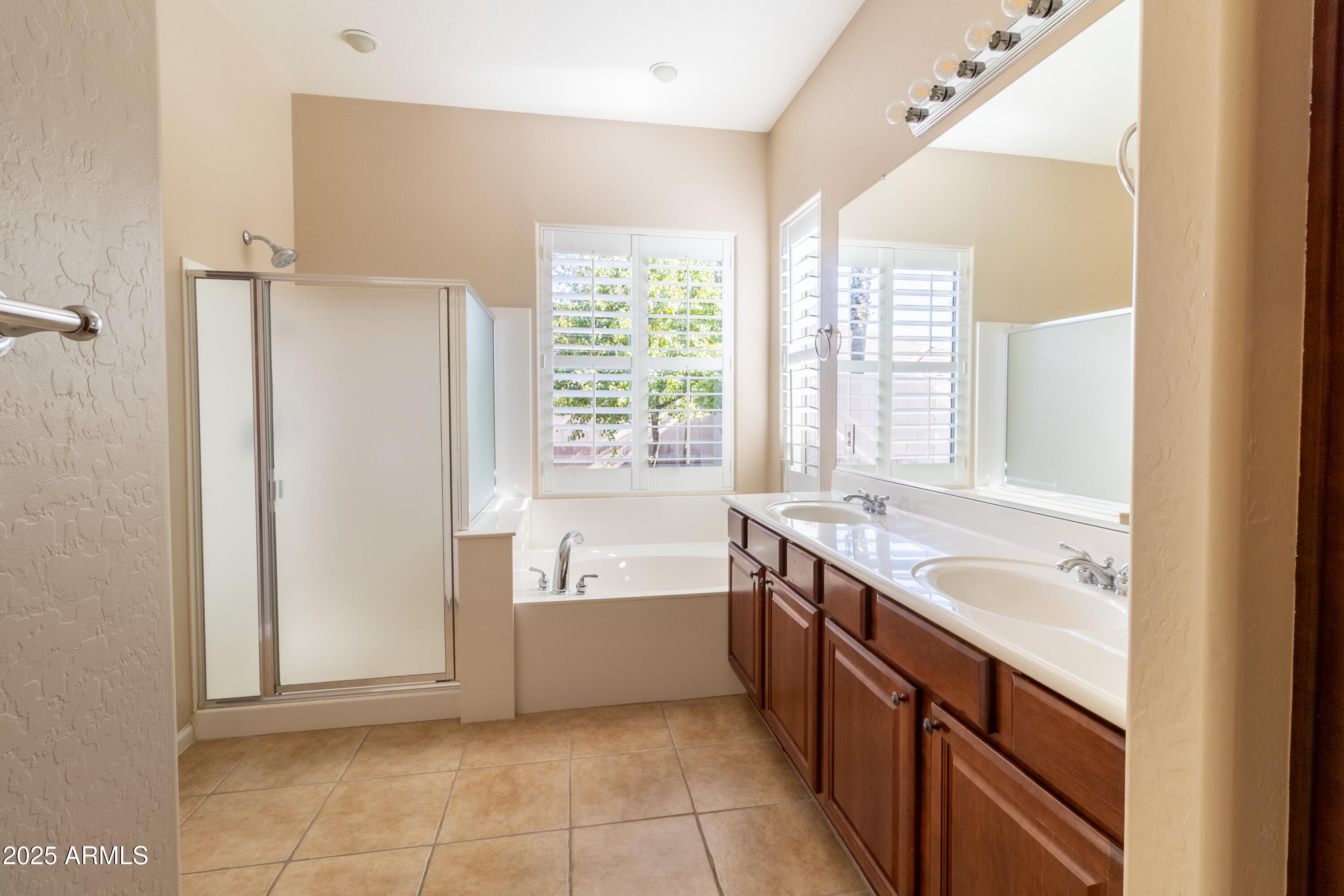 4241 East Andre Avenue Gilbert, AZ 85298 - Photo 14 of 39 a bathroom with a tub sink and mirror