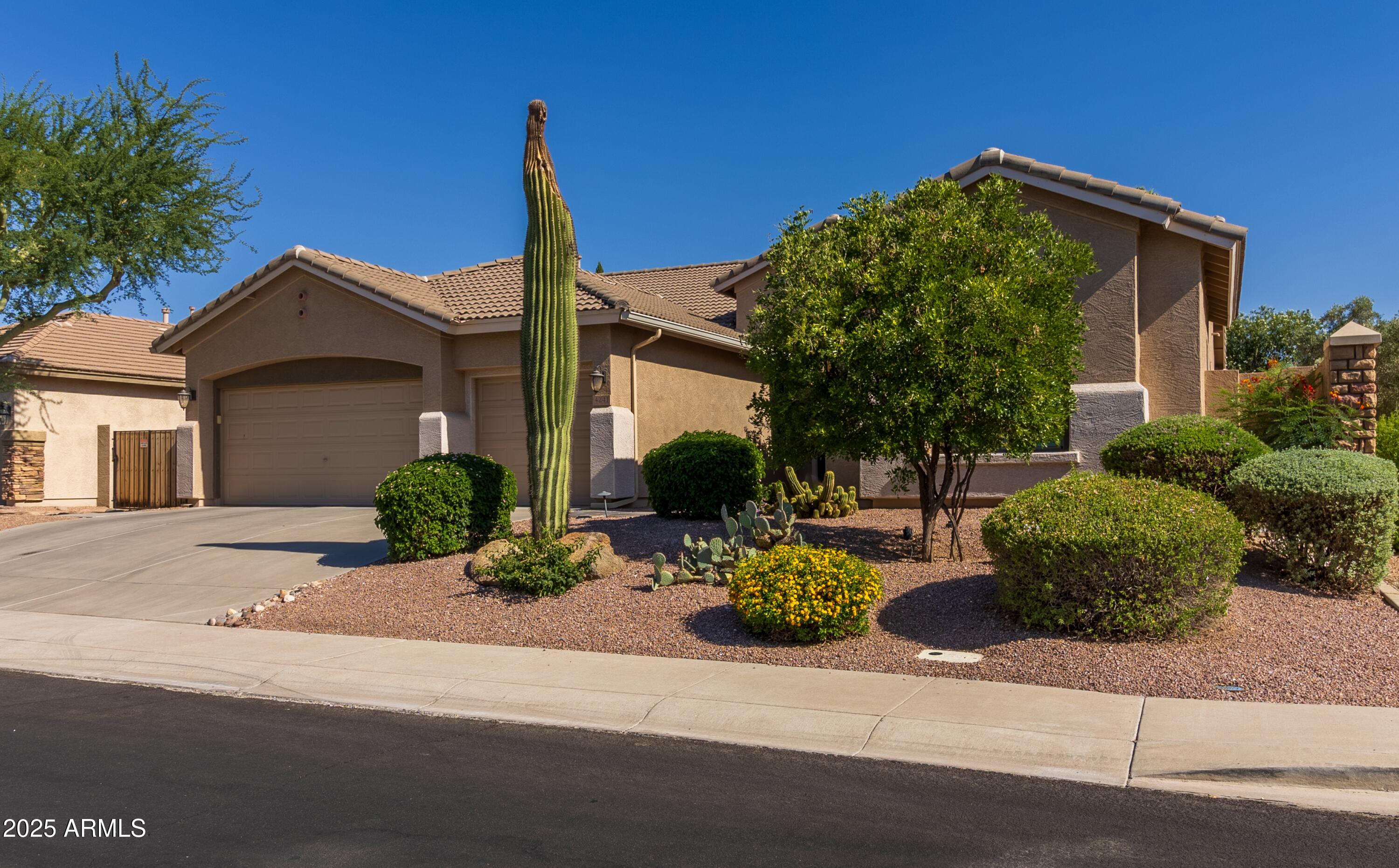4241 East Andre Avenue Gilbert, AZ 85298 - Photo 3 of 39 a front view of a house with a yard