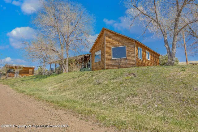 a view of a yard in front of a house with a large tree