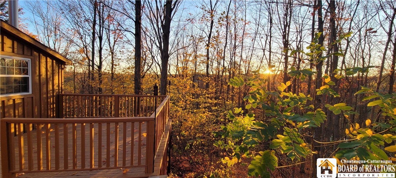 6226 Hoehandle Road Castile, NY 14427 - Photo 9 of 41
