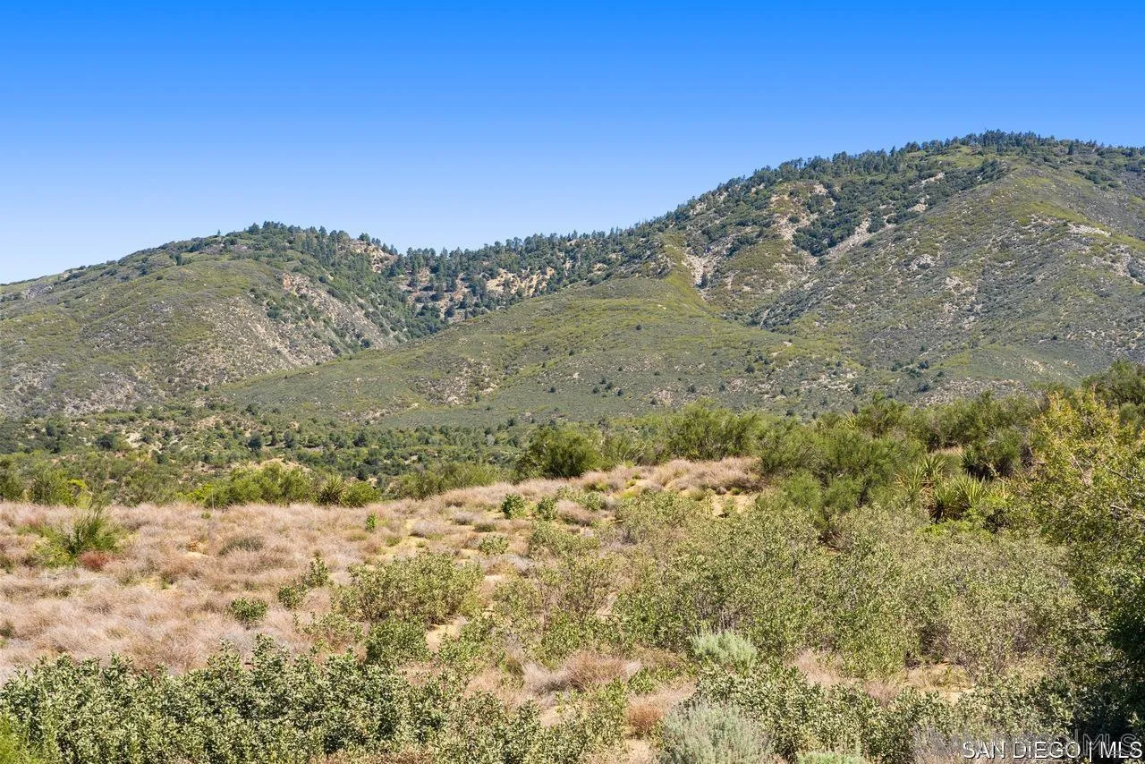 55001 Roadrunner Way, Unit 3 Anza, CA 92539 - Photo 4 of 11 a view of a dry yard with mountains in the background