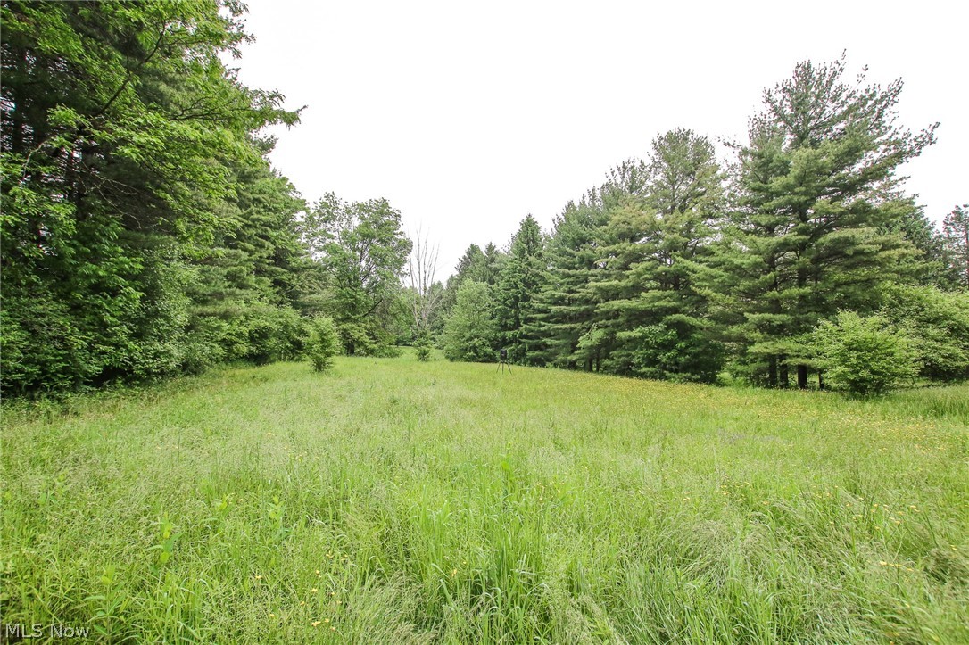 4700 West Bath Road Akron, OH 44333 - Photo 9 of 20