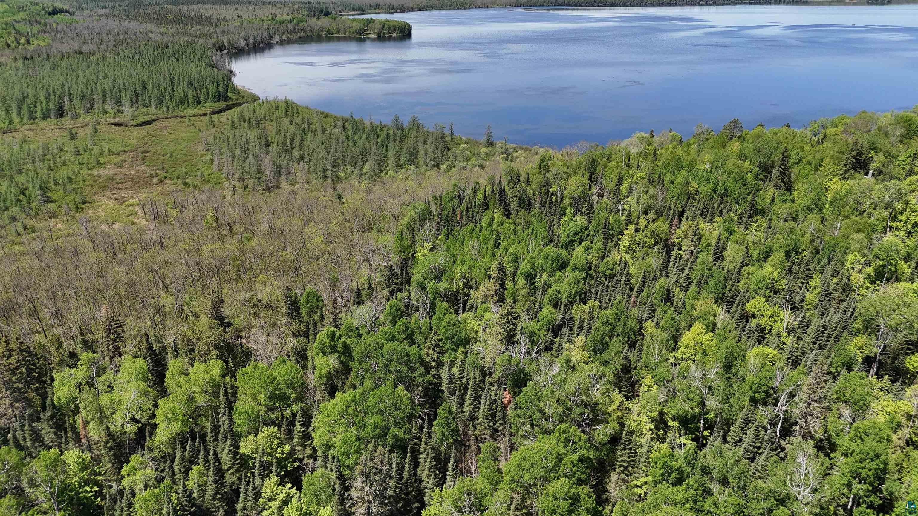 21 Nett Lake Road Orr, MN 55771 - Photo 11 of 15