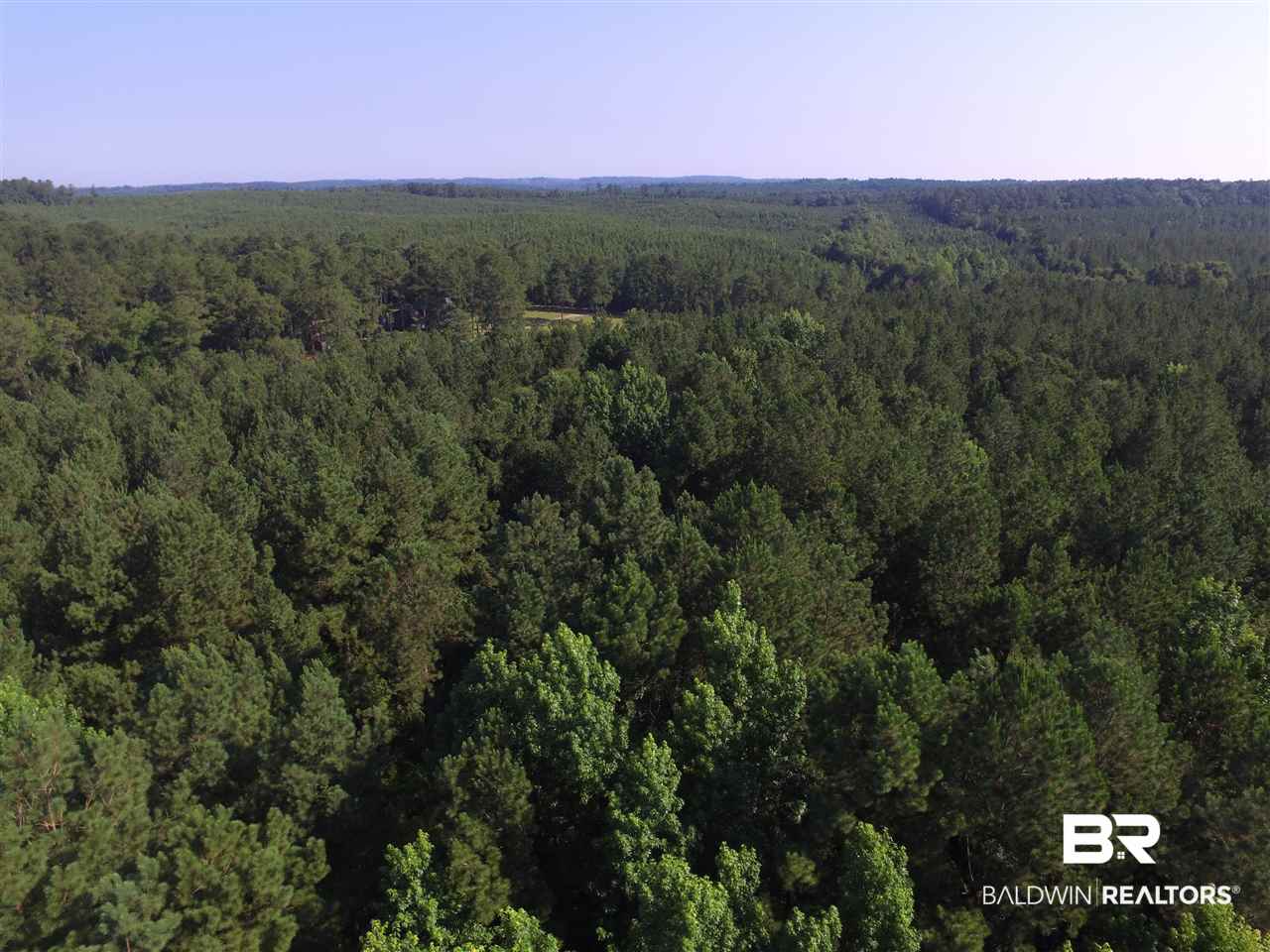 744 Fox Trot Road Grove Hill, AL 36451 - Photo 38 of 46