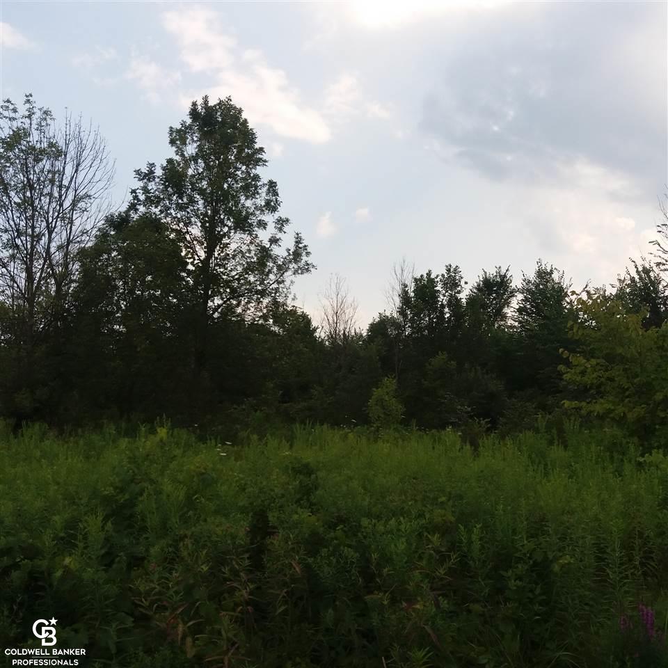 0 Rattle Run Columbus, MI 48063 - Photo 7 of 8