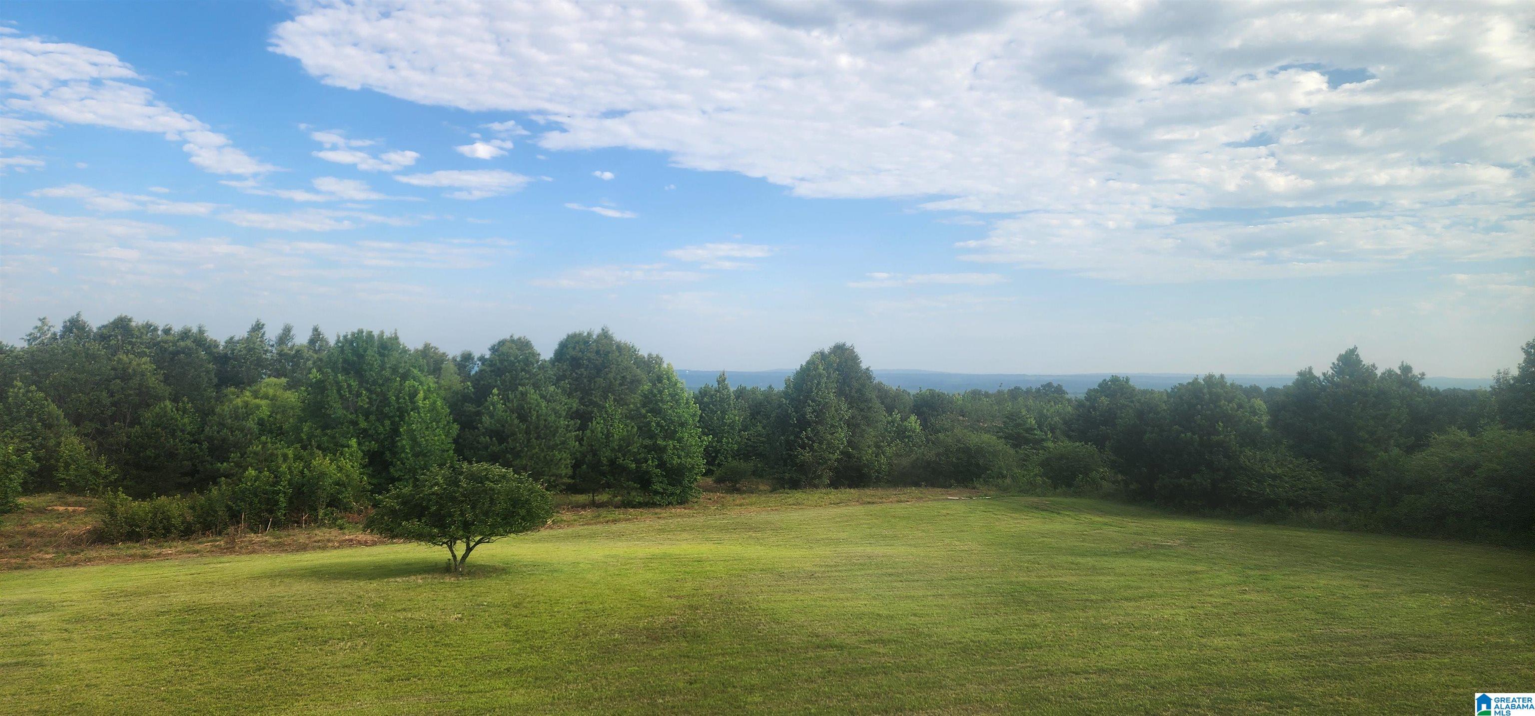 3606 Hicks Road Oneonta, AL 35121 - Photo 48 of 61